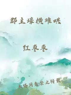郡主壕横难哄