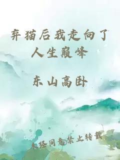 弃猫后我走向了人生巅峰