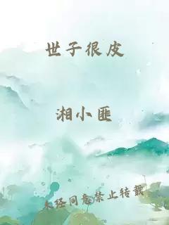 世子很皮