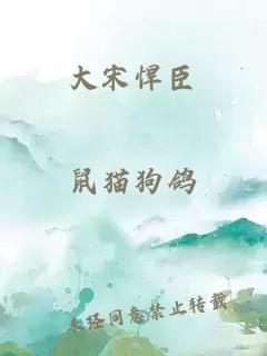 大宋悍臣